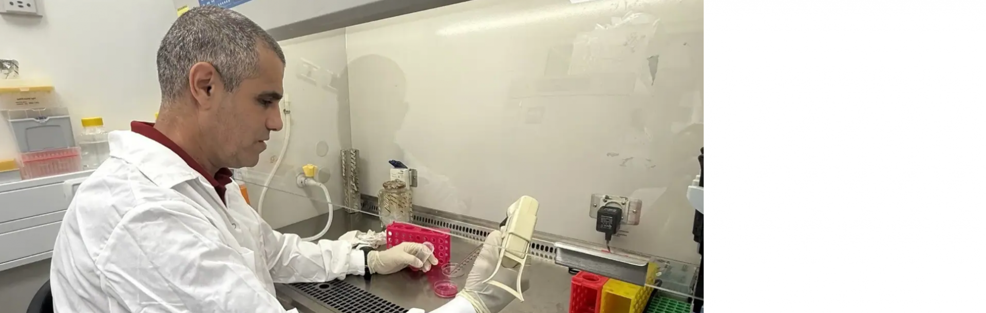 תתכוננו לעמוד על הרגליים