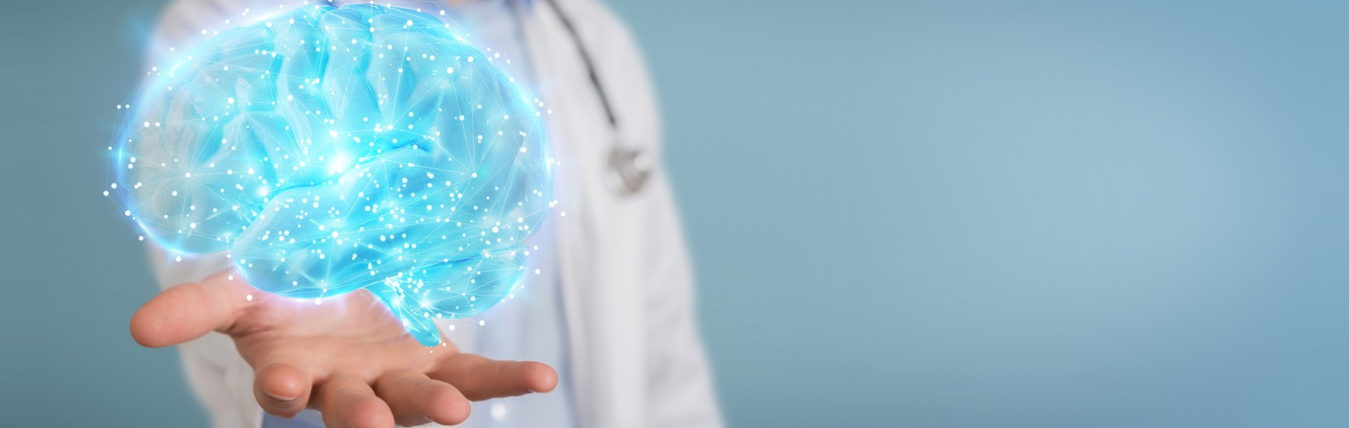 תכירו את המחקרים שלנו