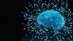 סמינר מדעי המוח - זיכרון, טראומה והחלמה