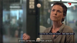 פרופ' דפנה יואל, חוקרת מוח ומגדר מביה"ס לפסיכולוגיה וביה"ס סגול למדעי המוח בכתבה על הבדלים מגדריים במקצועות ריאלים, מתוך חדשות 13.