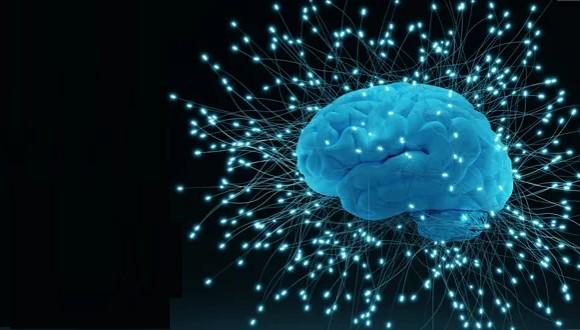 סמינר מדעי המוח - זיכרון, טראומה והחלמה