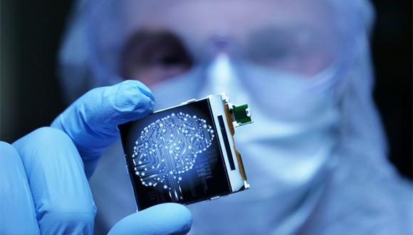 בשורה חדשה בתחום חקר המוח: מוח אנושי על שבב